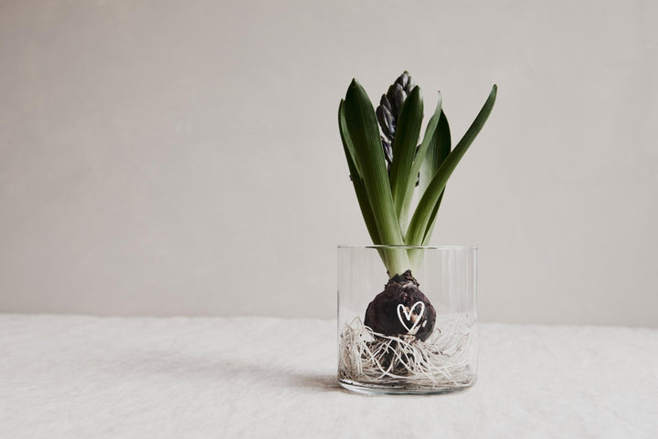 personalisiertes Vorratsglas "Herz" mit Gravur "von Herzen" - Jellies Design