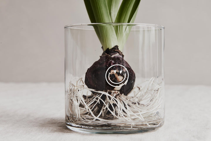 Vorratsglas "Smiley" die Geschenkidee zum Danke sagen für Erzieher, Kollegen oder Kindergarten, Kita - Jellies Design