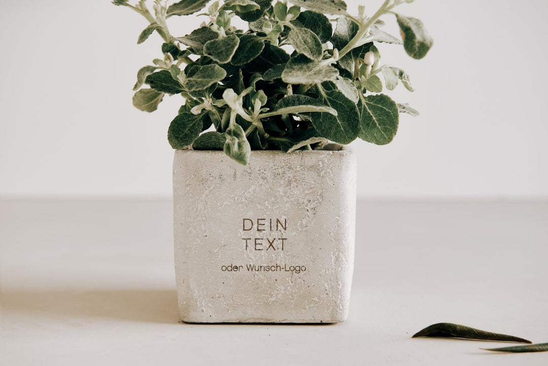 Geburtstagsgeschenk Blumentopf Beton mit eigener Wunschgravur - Jellies Design