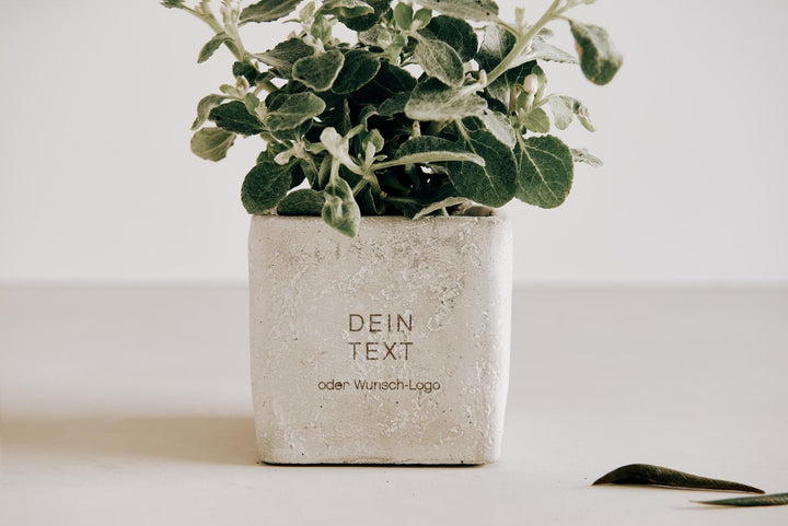 Geburtstagsgeschenk Blumentopf Beton mit eigener Wunschgravur - Jellies Design