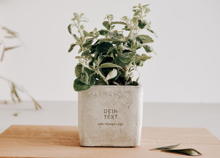 Geburtstagsgeschenk Blumentopf Beton mit eigener Wunschgravur - Jellies Design