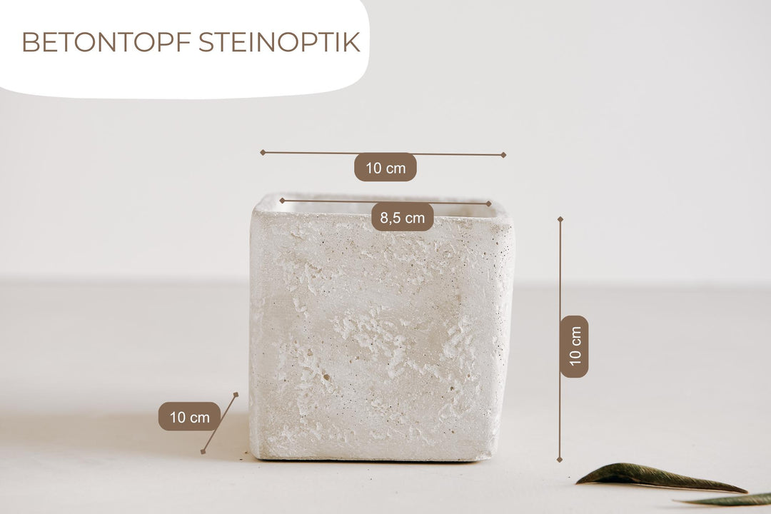 Geschenk beste Freundin - Jellies Design