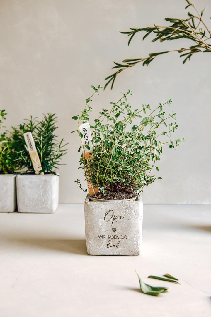 personalisierter Blumentopf als Geburtstagsgeschenk oder Geldgeschenk für Opa, Papa, oder als Dankeschön - Jellies Design
