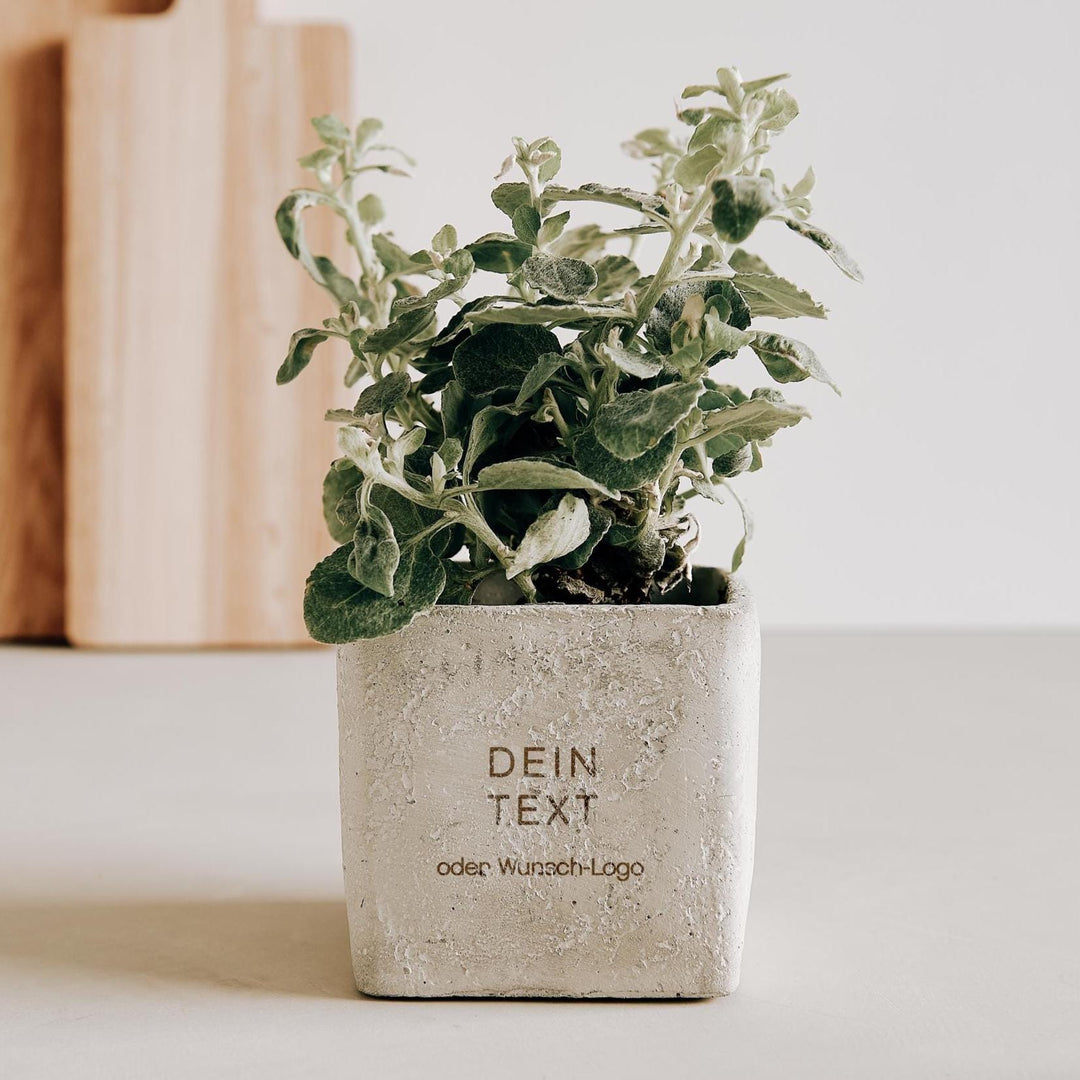 Geburtstagsgeschenk Blumentopf Beton mit eigener Wunschgravur - Jellies Design