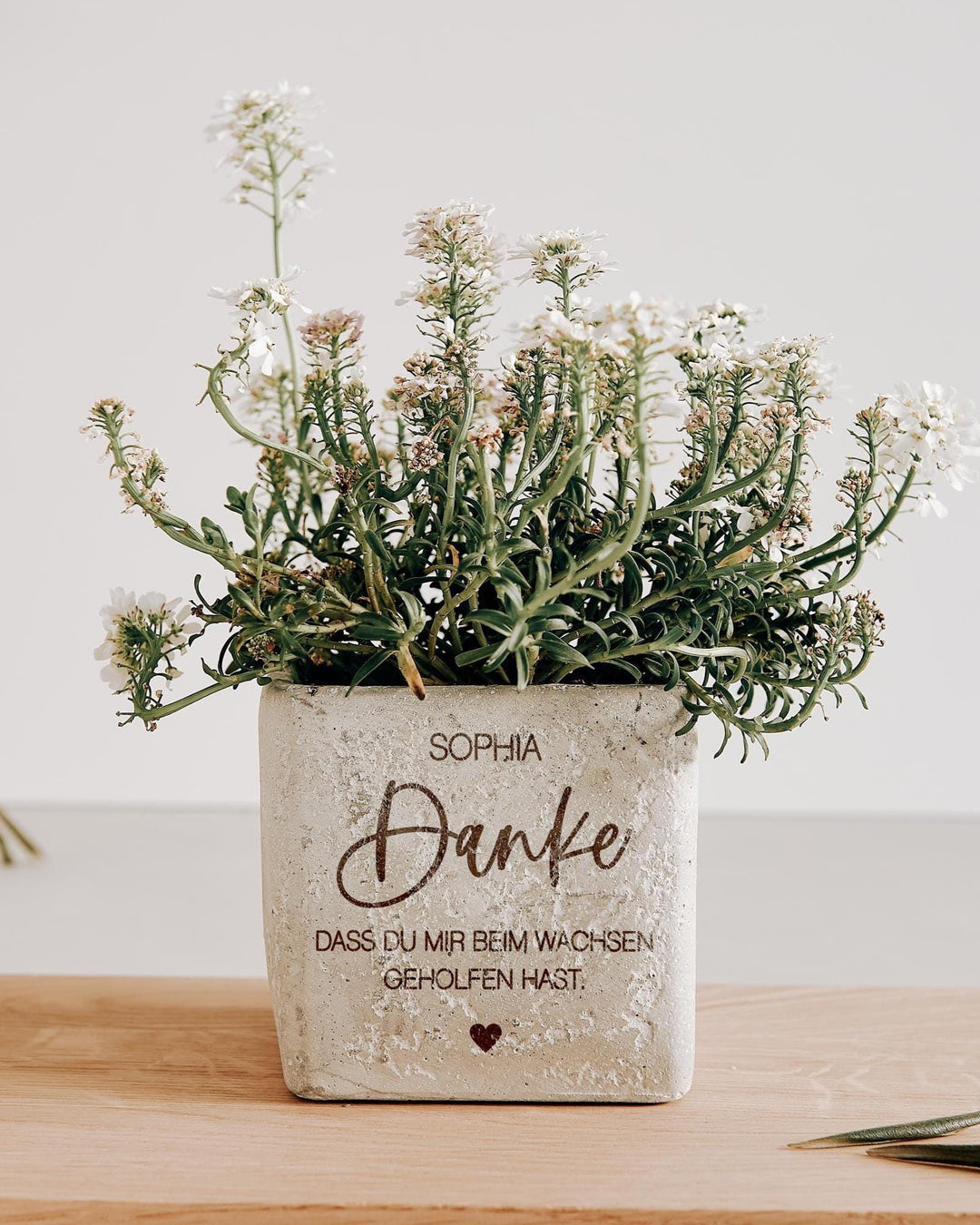Abschiedsgeschenk Erzieherin, Lehrerin, Tagesmutter Kindergarten - Blumentopf Beton mit Gravur "Danke das du mir beim wachsen geholfen hast" - Jellies Design