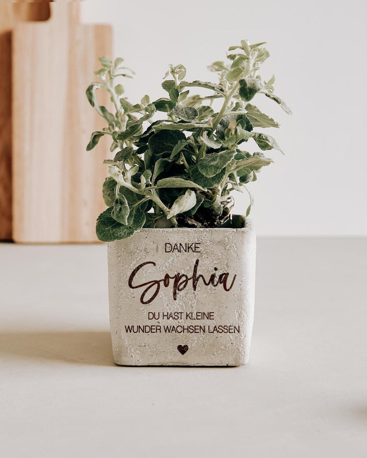 Blumentopf personalisiert mit Danke und Abschied für Kollegin, Erzieherin, Lehrerin "Du hast kleine Wunder wachsen lassen" - JelliesDesign - - Indoor Planters