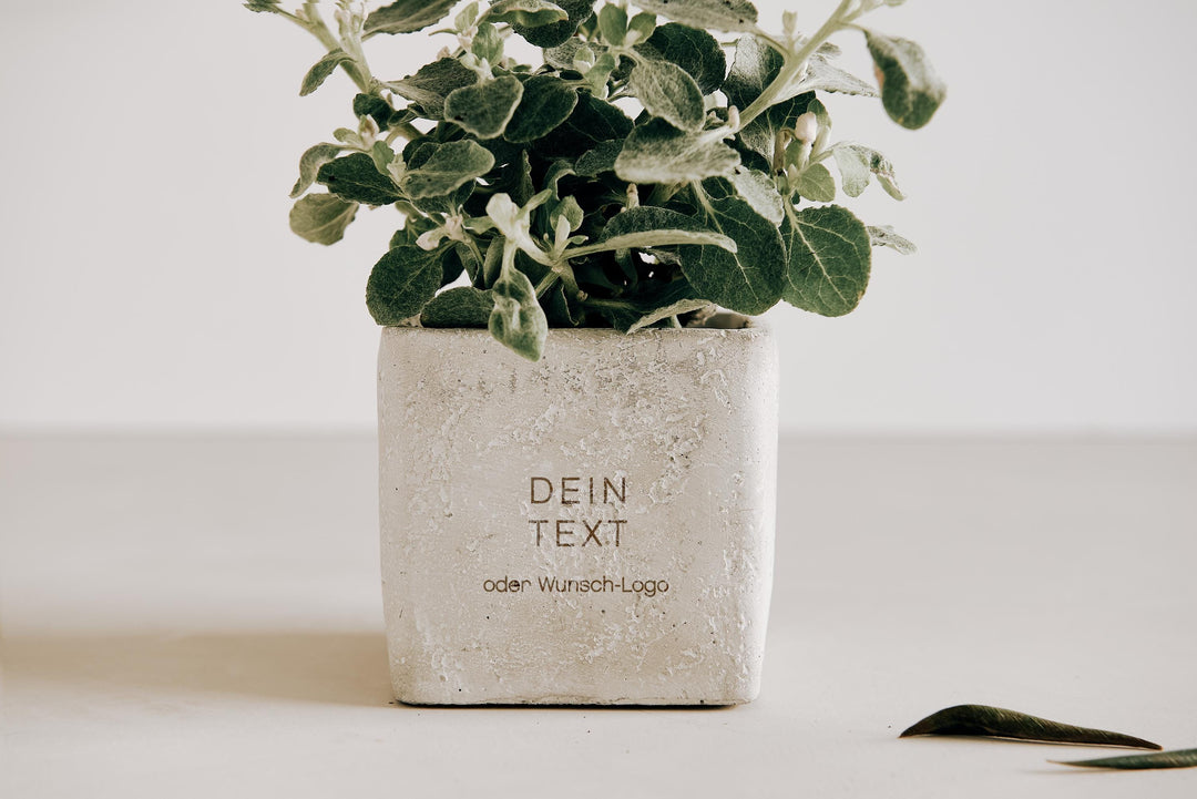 Blumentopf personalisiert mit Danke und Abschied für Kollegin, Erzieherin, Lehrerin "Du hast kleine Wunder wachsen lassen" - JelliesDesign - - Indoor Planters