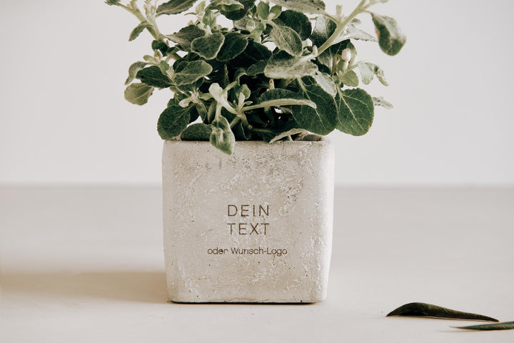 Blumentopf personalisiert mit Danke und Abschied für Kollegin, Erzieherin, Lehrerin "Du hast kleine Wunder wachsen lassen" - JelliesDesign - - Indoor Planters