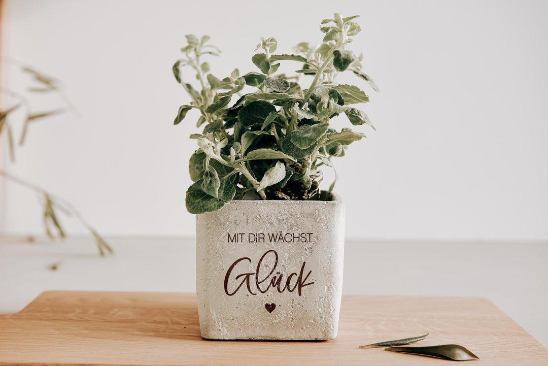 Blumentopf personalisiert für Geburtstag Freundin, Nachbarin "Mit Dir wächst Glück" - JelliesDesign - - Indoor Planters