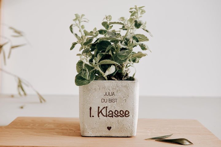 Einschulung Geschenk zum Schulstart, Geldgeschenk, Betontopf mit Gravur "Du bist 1. Klasse" für Blumen, Stifte oder Kunstbedarf - Jellies Design
