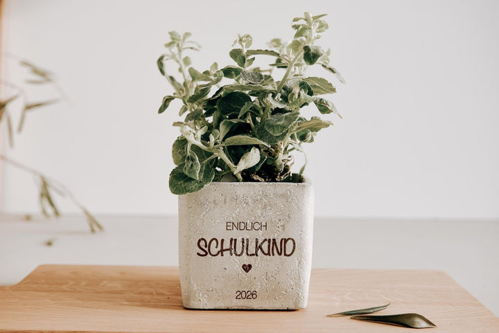Einschulung Geschenk zum Schulstart, Geldgeschenk, Betontopf mit Gravur "Endlich Schulkind" für Blumen, Stifte oder Kunstbedarf - Jellies Design