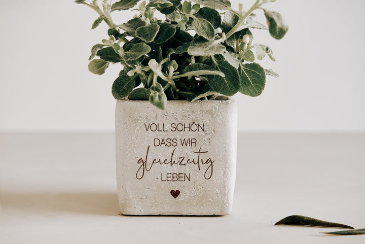 Geschenk beste Freundin, Mitbringsel, Geschenkidee Lieblingsmensch - "Voll schön, dass wir gleichzeitig leben" - Blumentopf Beton mit Gravur - JelliesDesign - - Indoor Planters