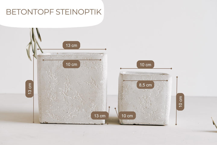Geschenk beste Freundin, Mitbringsel, Geschenkidee Lieblingsmensch - "Voll schön, dass wir gleichzeitig leben" - Blumentopf Beton mit Gravur - JelliesDesign - - Indoor Planters