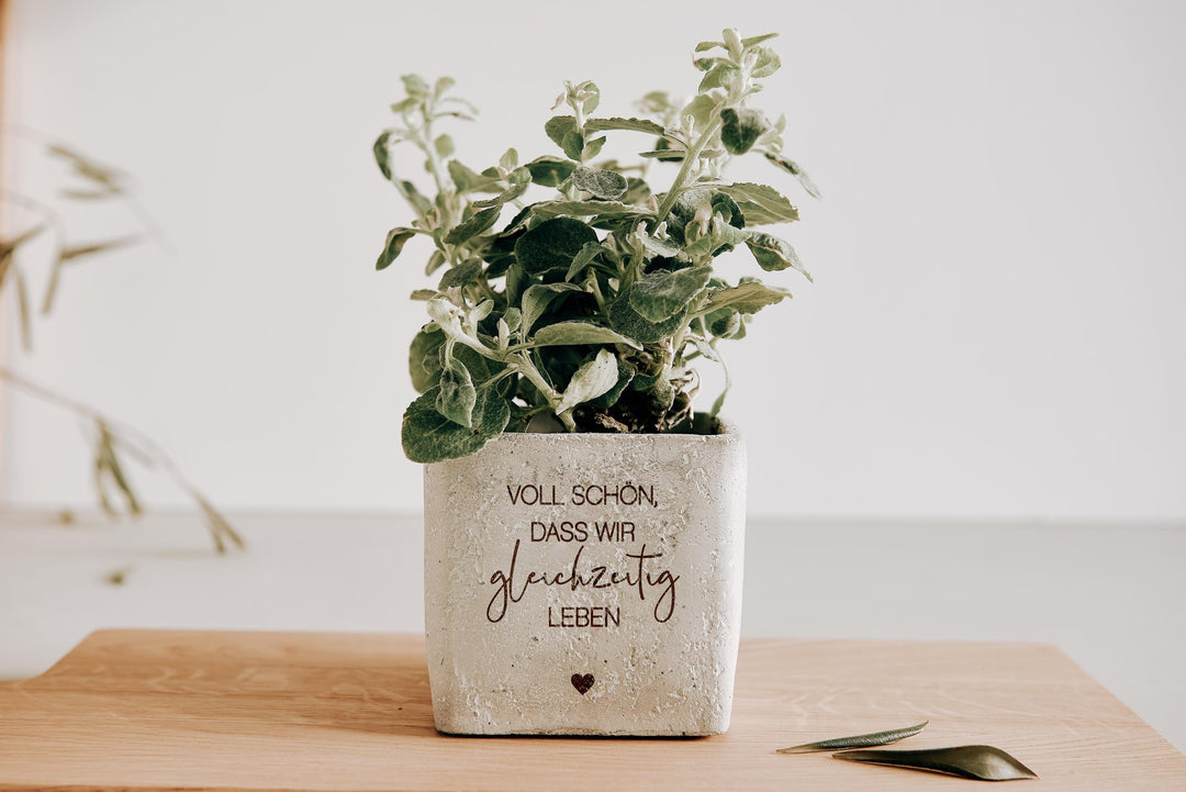 Geschenk beste Freundin, Mitbringsel, Geschenkidee Lieblingsmensch - "Voll schön, dass wir gleichzeitig leben" - Blumentopf Beton mit Gravur - JelliesDesign - - Indoor Planters