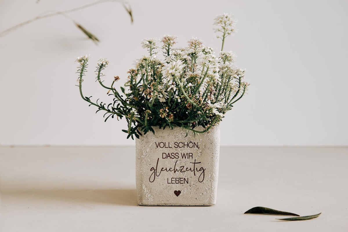 Geschenk beste Freundin, Mitbringsel, Geschenkidee Lieblingsmensch - "Voll schön, dass wir gleichzeitig leben" - Blumentopf Beton mit Gravur - Jellies Design
