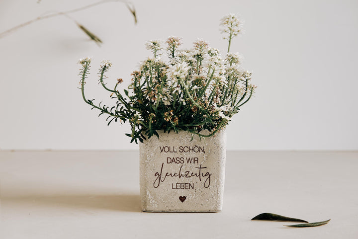 Geschenk beste Freundin, Mitbringsel, Geschenkidee Lieblingsmensch - "Voll schön, dass wir gleichzeitig leben" - Blumentopf Beton mit Gravur - JelliesDesign - - Indoor Planters